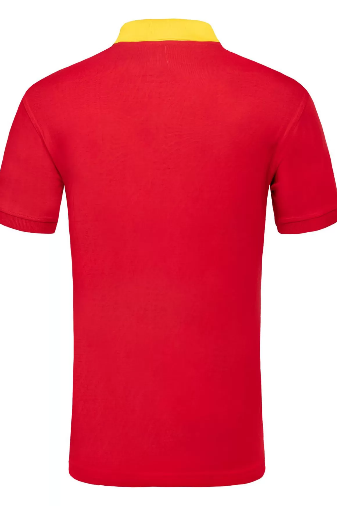 Nebulus Poloshirts<Poloshirt Alex Herren